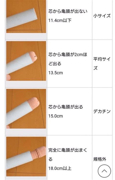 15cm でかい|【悲報】日本人のちんこの平均サイズと女性が求めるサイズの差。